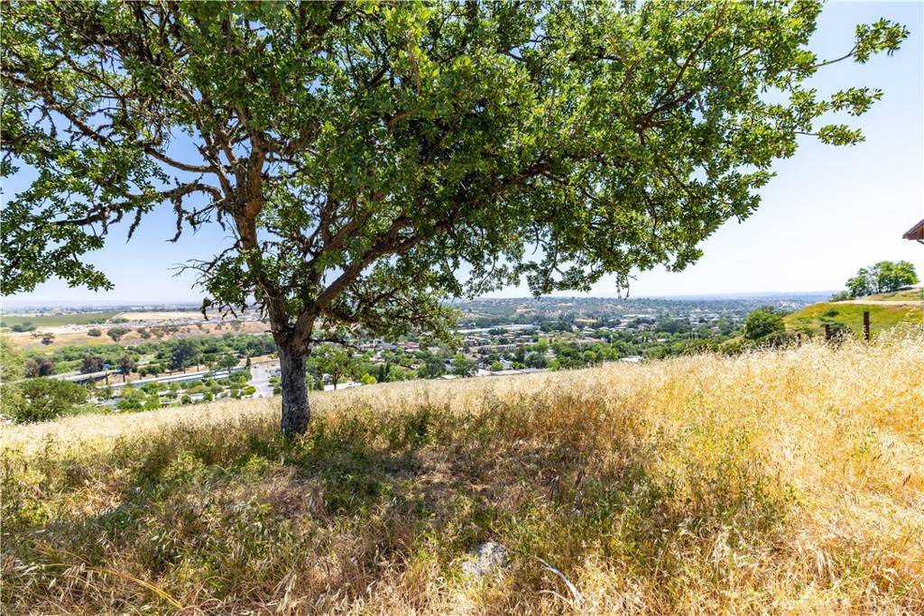 Paso Robles, CA 93446,437 Calle Alto ST