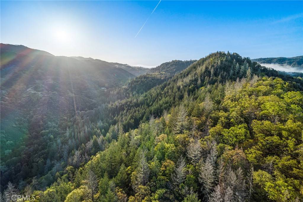 Talmage, CA 95481,5155 Mill Creek RD