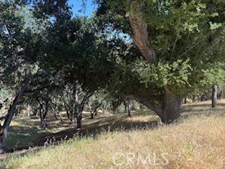 Bradley, CA 93426,2172 Ridge Rider RD