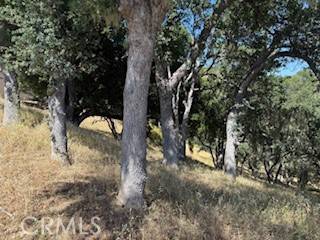 Bradley, CA 93426,2172 Ridge Rider RD