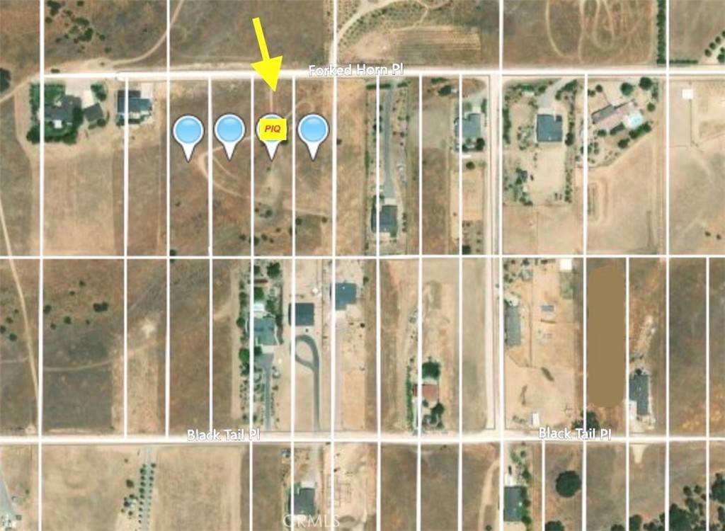 Paso Robles, CA 93446,5920 Forked Horn PL