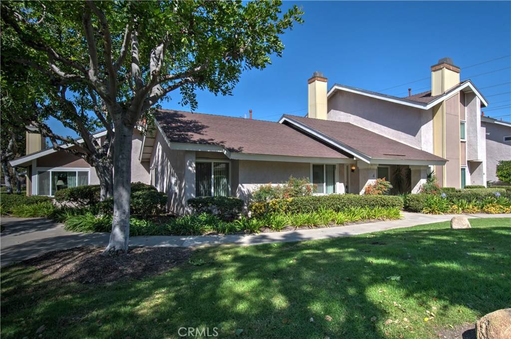 Irvine, CA 92604,4 Goldenbush #33