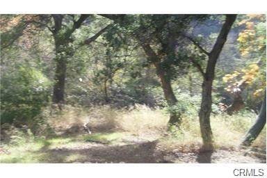 Silverado Canyon, CA 92676,30841 Silverado Canyon RD