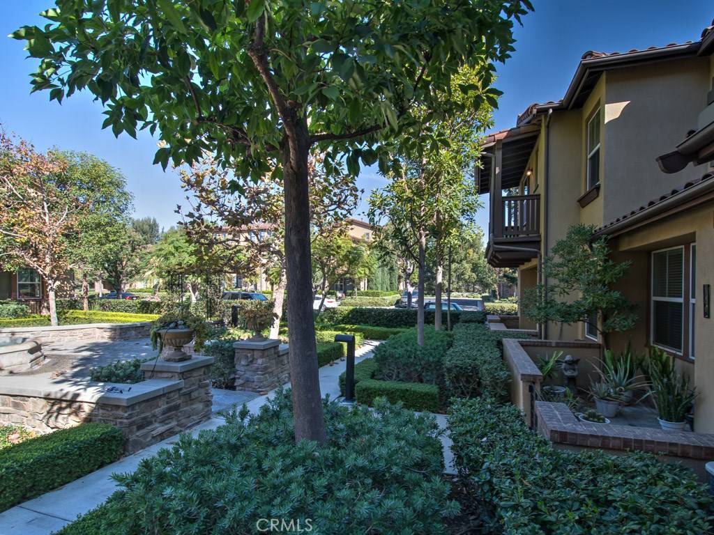 Irvine, CA 92603,148 Coral Rose