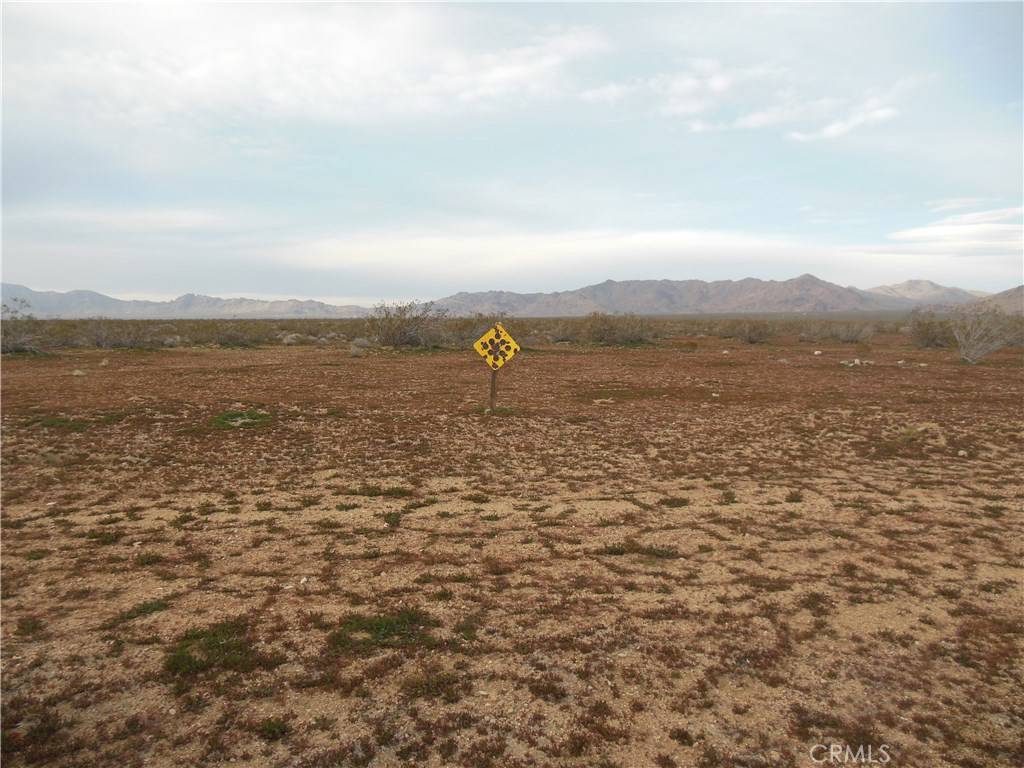 Lucerne Valley, CA 92356,34598 Lorraine