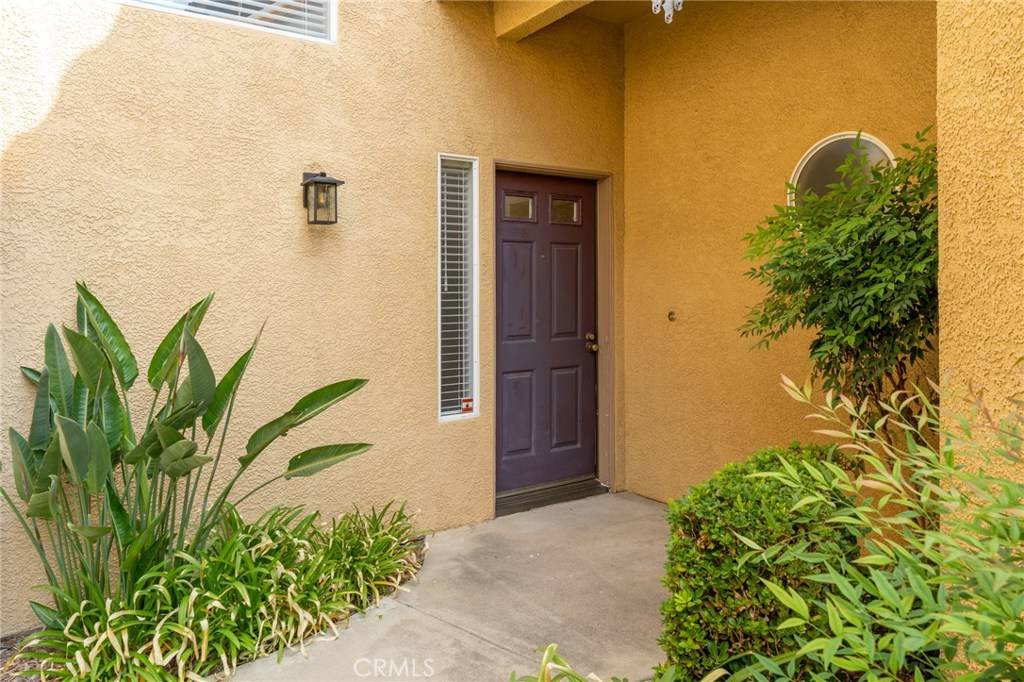 Aliso Viejo, CA 92656,5 Pappagallo