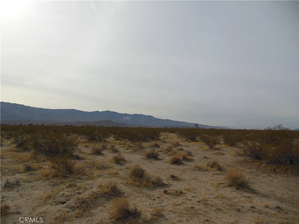 Lucerne Valley, CA 92356,449 Joshua AVE
