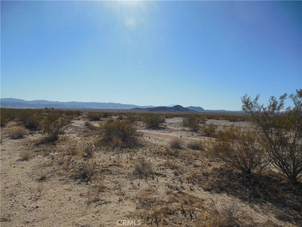 Joshua Tree, CA 92284,117 Orion DR