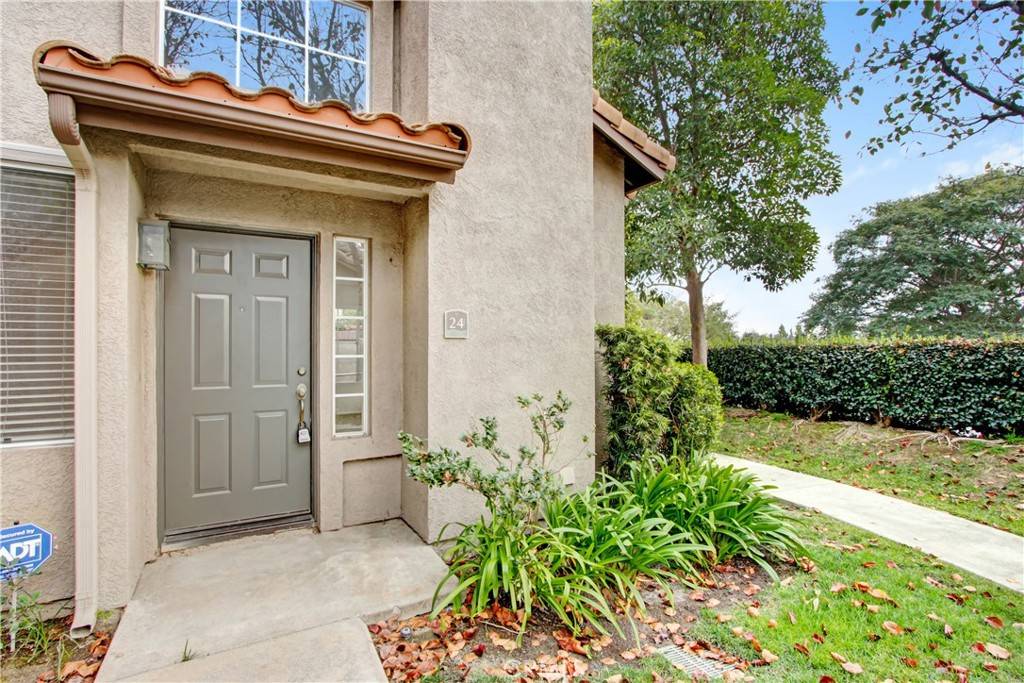 Aliso Viejo, CA 92656,24 Fuchsia