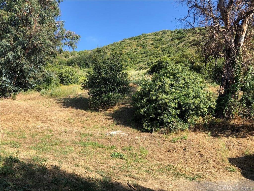 Modjeska Canyon, CA 92676,28952 Hilltop