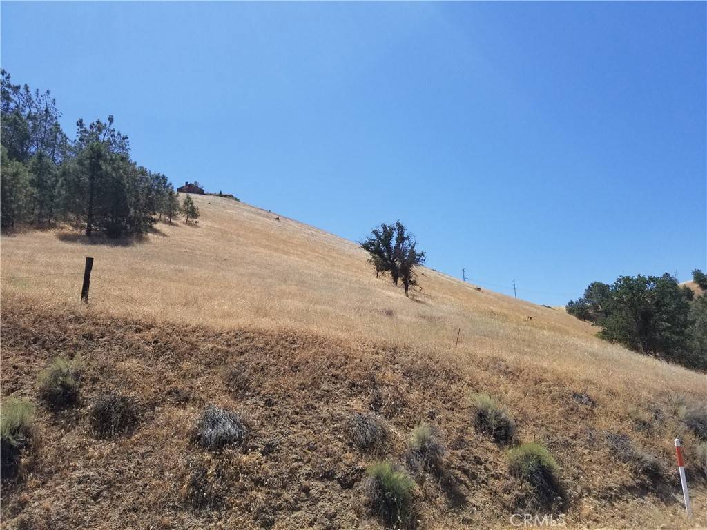 Golden Hills, CA 93561,22215009 Woodford-Tehachapi