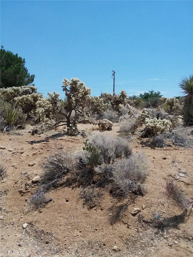 Joshua Tree, CA 92252,61773 Alta Vista DR