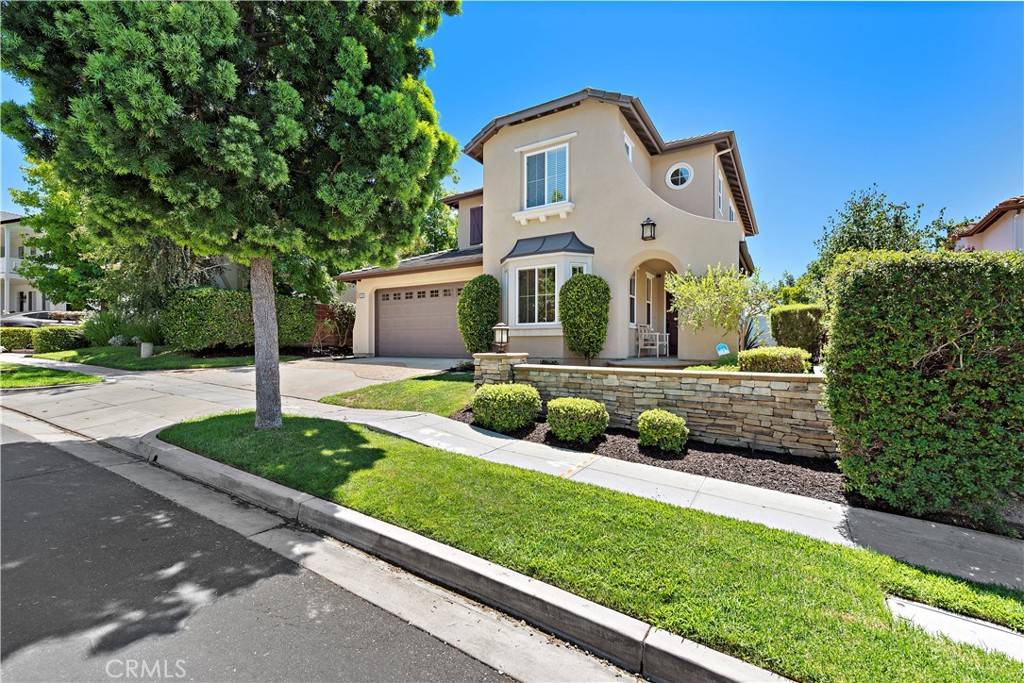 Ladera Ranch, CA 92694,10 Blue Spruce