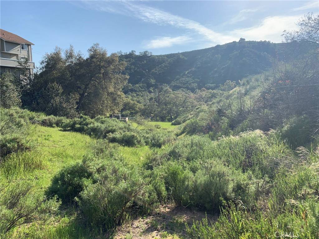 Trabuco Canyon, CA 92679,30295 Hunky Dory