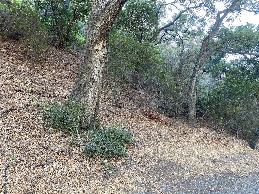 Silverado Canyon, CA 92676,30792 Silverado Canyon RD