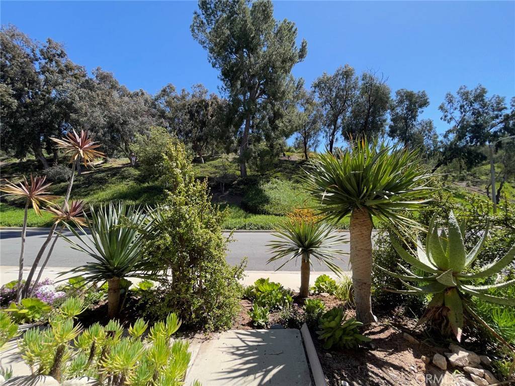 Aliso Viejo, CA 92656,7 San Bittern LN