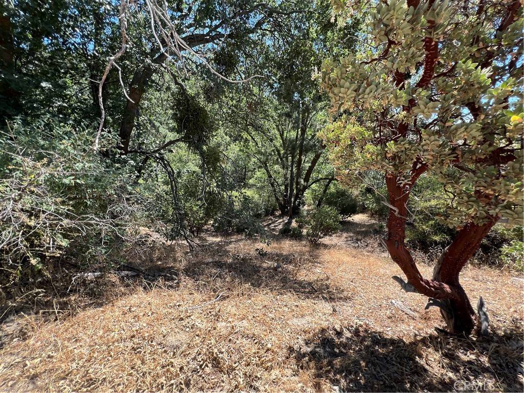 0 Elder Dr Lake Arrowhead, CA 92321