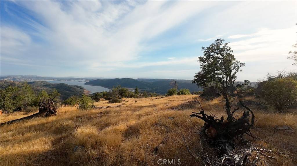 Oroville, CA 95916,0 Bloomer Mountain RD