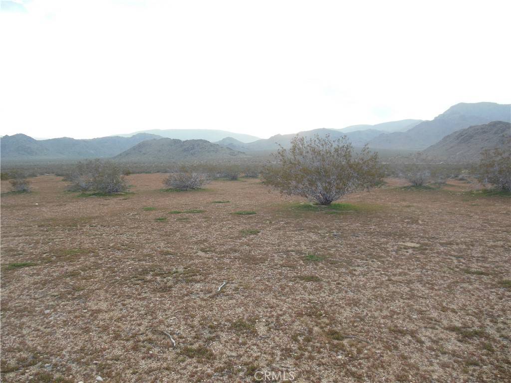 Lucerne Valley, CA 92356,1222 Lorraine
