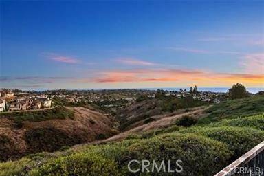 Laguna Niguel, CA 92677,18 Byron Close