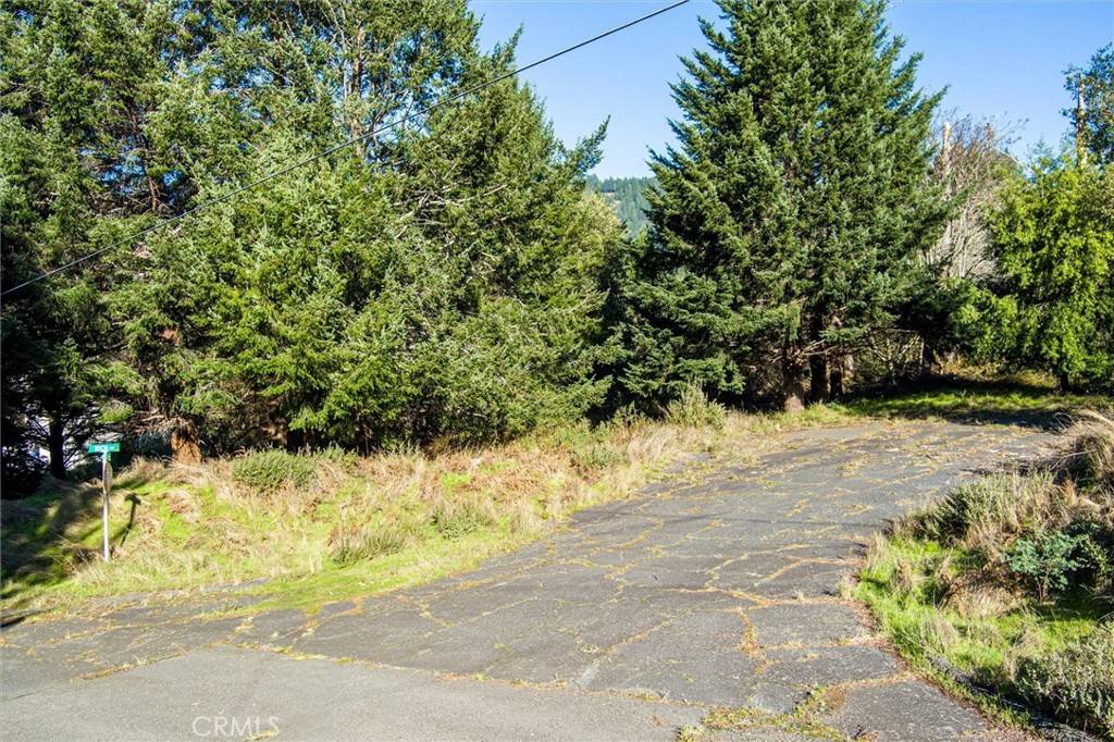 Unincorporated, CA 95589,11 Rich CIR