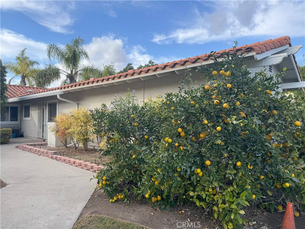 Laguna Woods, CA 92637,2039 Via Mariposa E #C