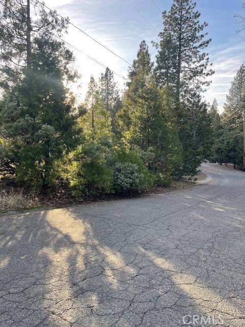 Pollock Pines, CA 95726,6172 Shad Way