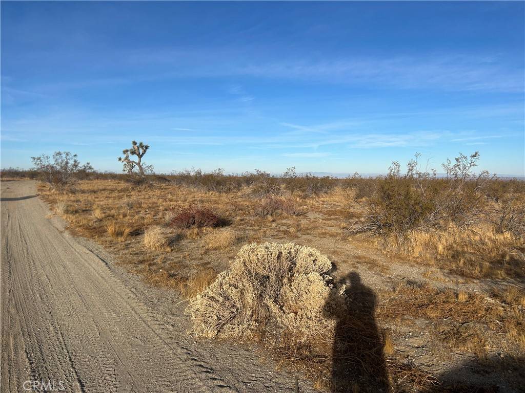 Pinon Hills, CA 92372,0 Dos Palmas RD