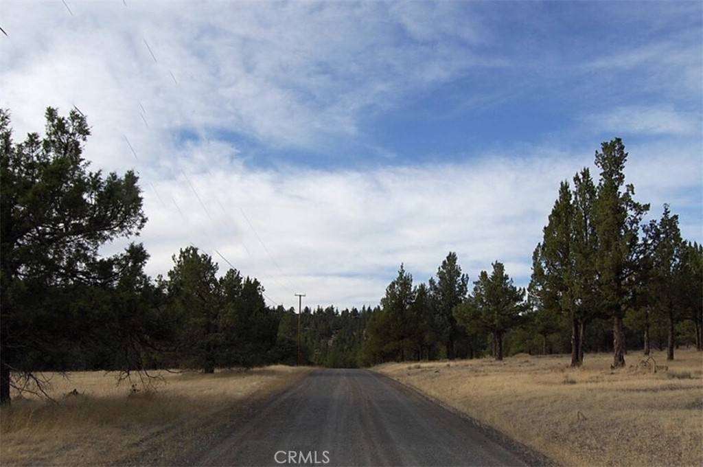 Alturas, CA 96101,0 Grizzley DR