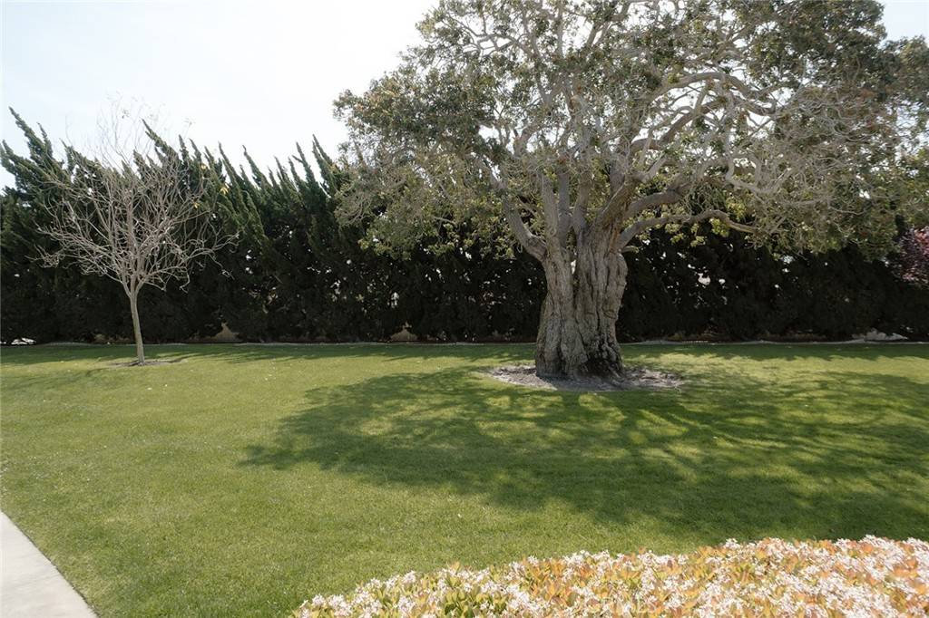 Seal Beach, CA 90740,13741 Annandale Dr. #20j (M1)