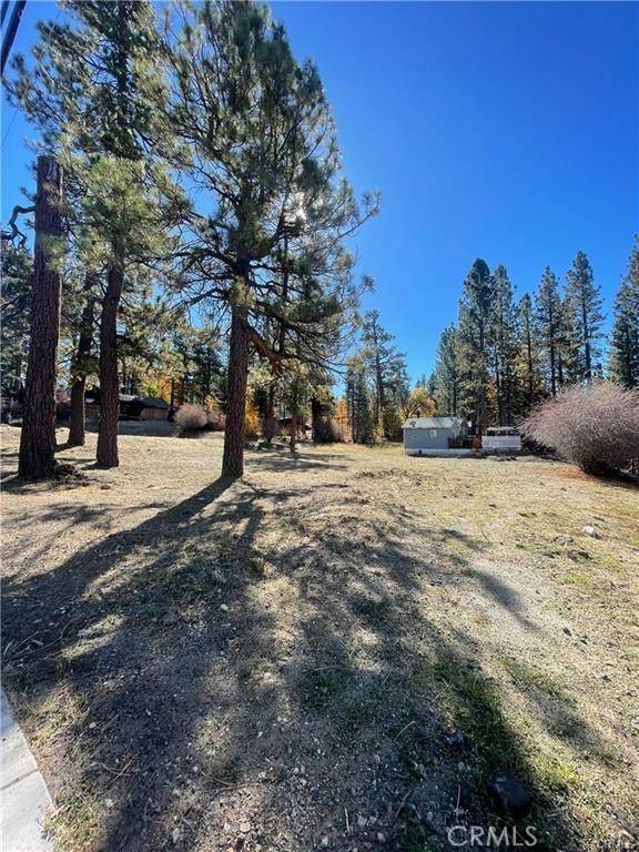 Big Bear Lake, CA 92315,40063 Big Bear BLVD
