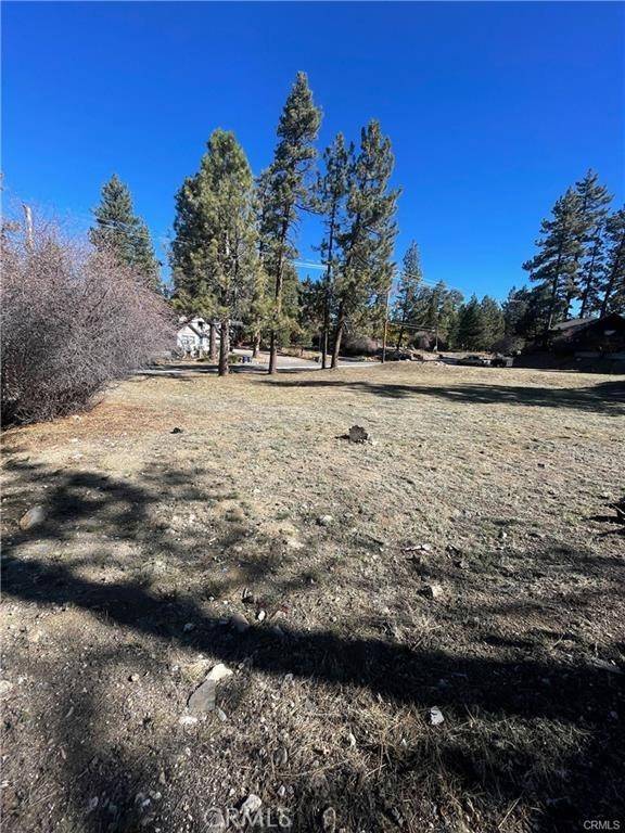 Big Bear Lake, CA 92315,40063 Big Bear BLVD