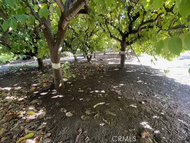 Carpinteria, CA 93013,0 Shepard Mesa RD