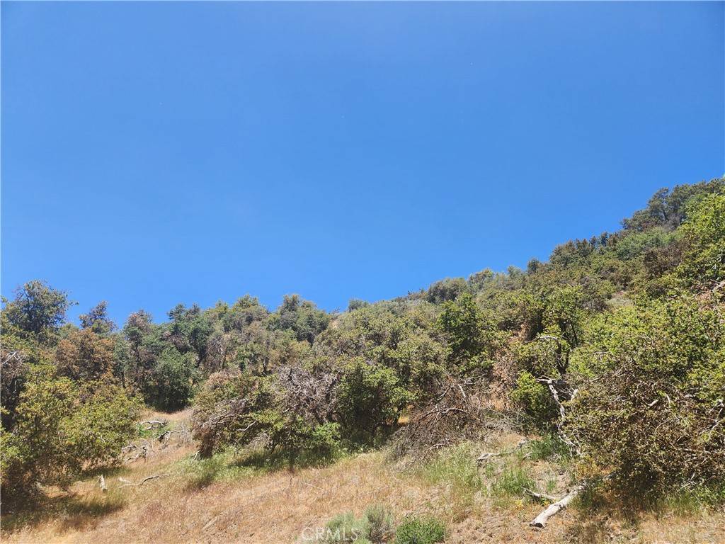 Tehachapi, CA 93561,25148 PARAMOUNT DR
