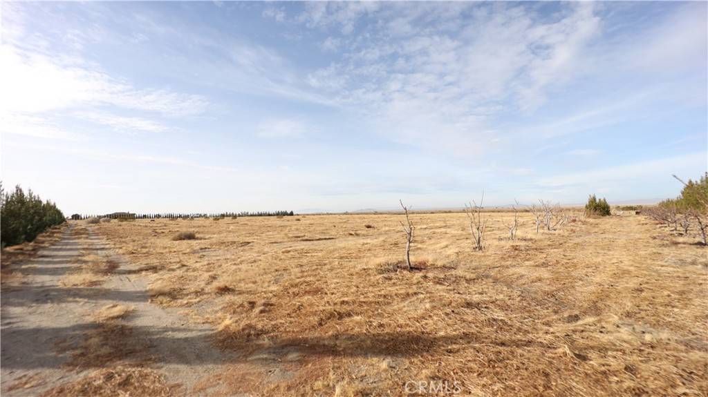 Pinon Hills, CA 92372,3002 Estero RD