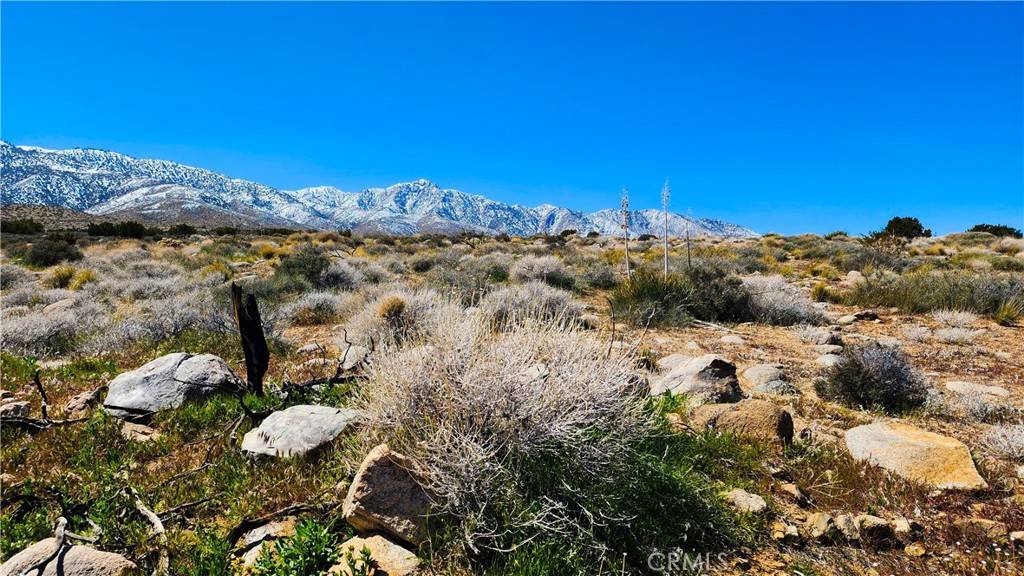 Lucerne Valley, CA 92356,0 Tranquility LN