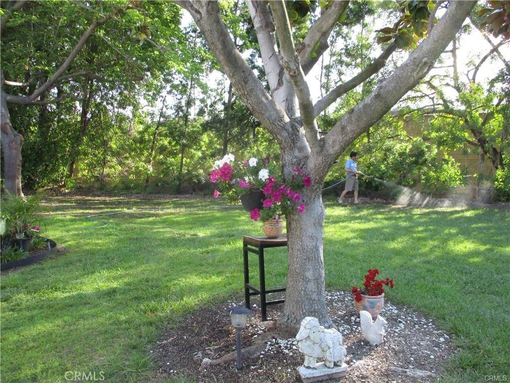 Laguna Woods, CA 92637,348 Avenida Sevilla Unit B