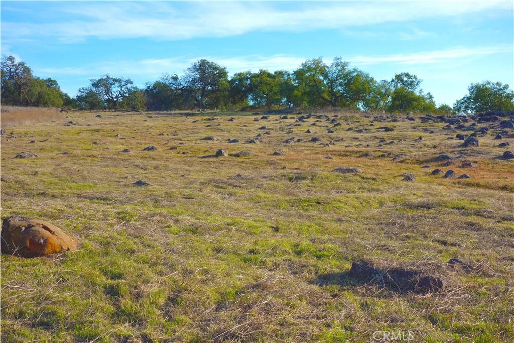 Murrieta, CA 92562,20 Avocado Mesa