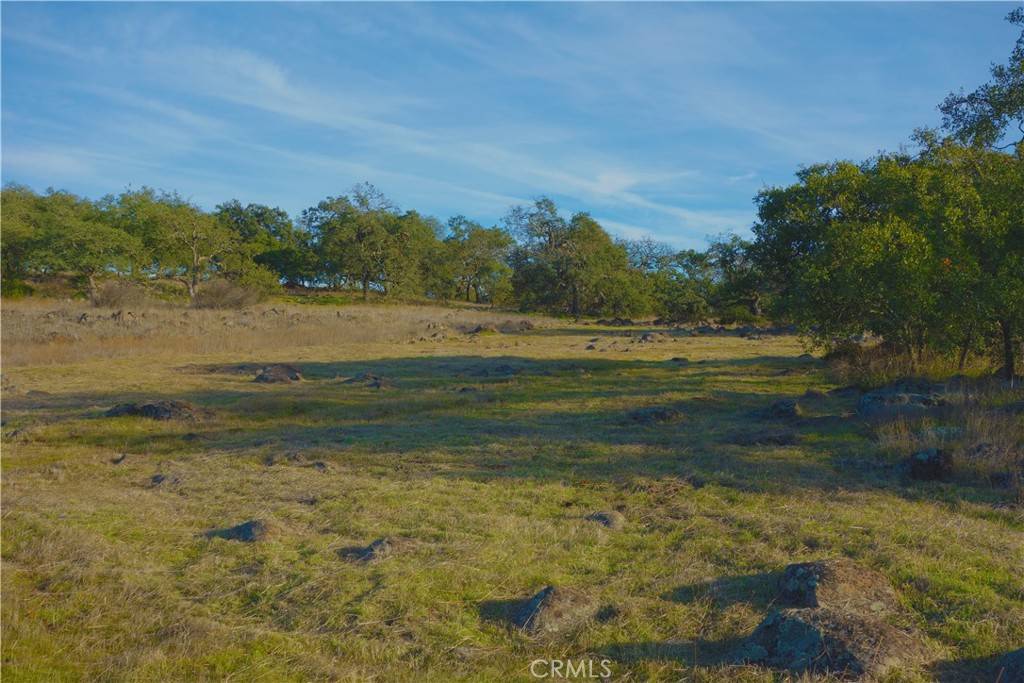 Murrieta, CA 92562,20 Avocado Mesa