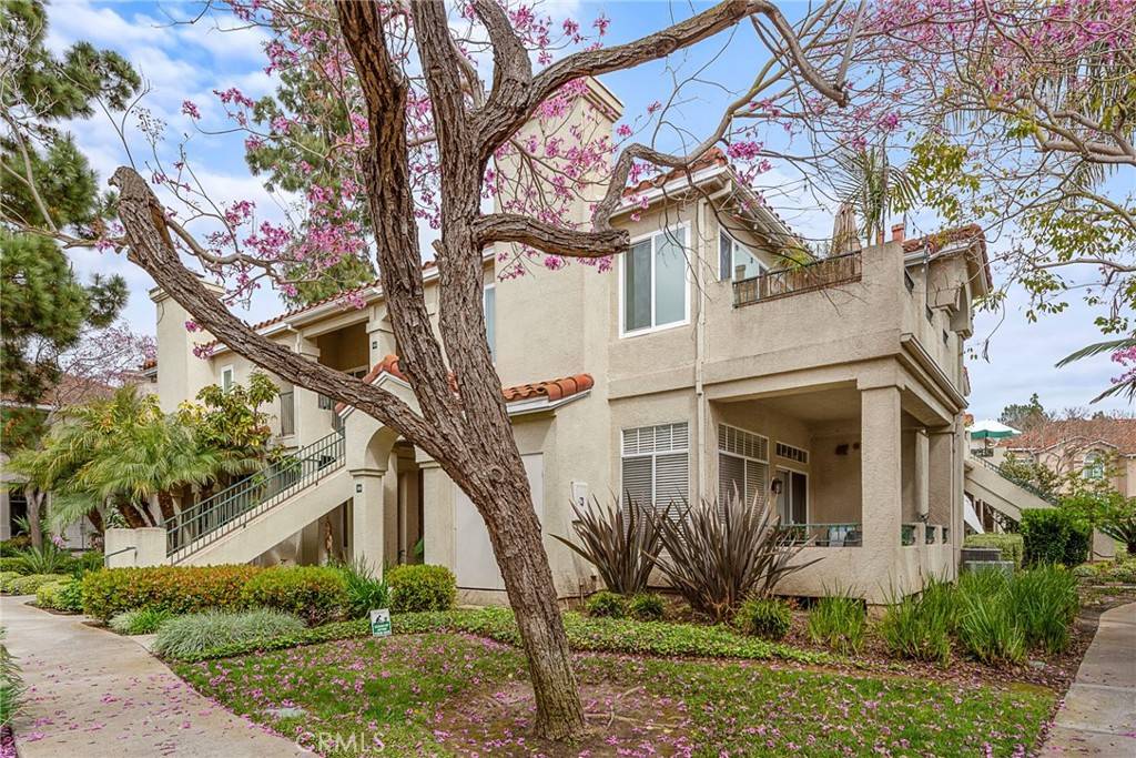 Aliso Viejo, CA 92656,112 Cinnamon Teal