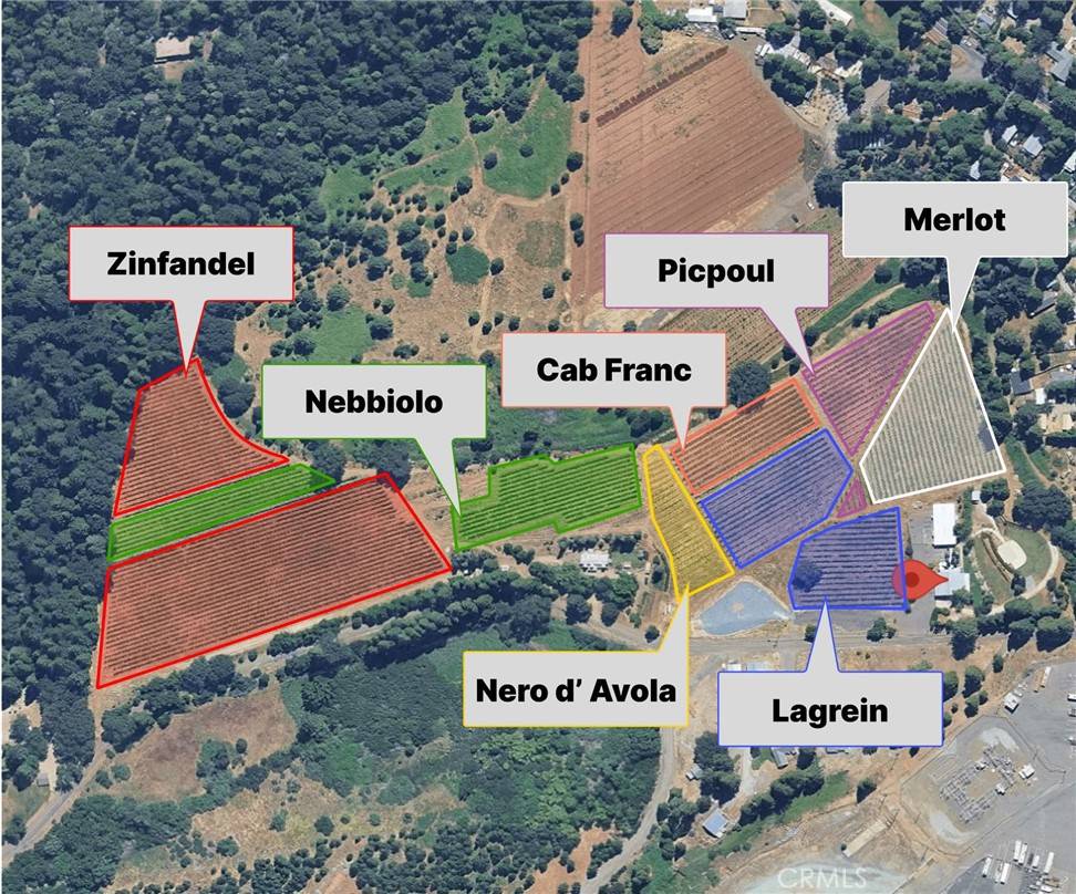 Camino, CA 95709,2875 Larsen DR