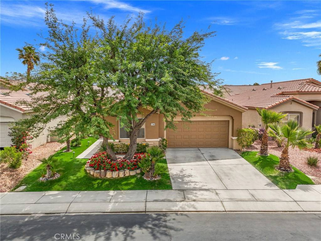 Palm Desert, CA 92211,37388 Medjool