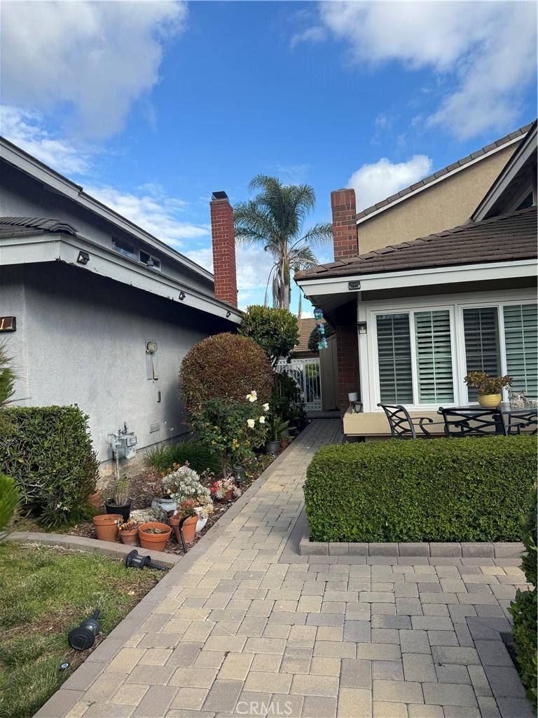 Irvine, CA 92604,3 White Birch