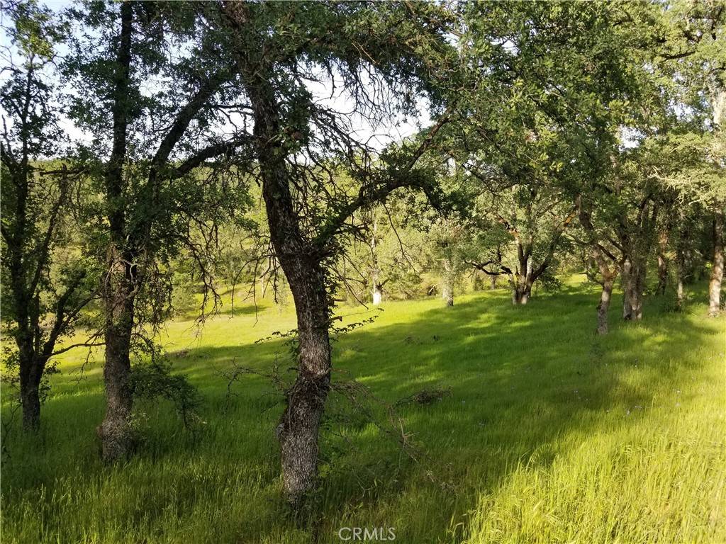 Oroville, CA 95966,0 Bethridge RD