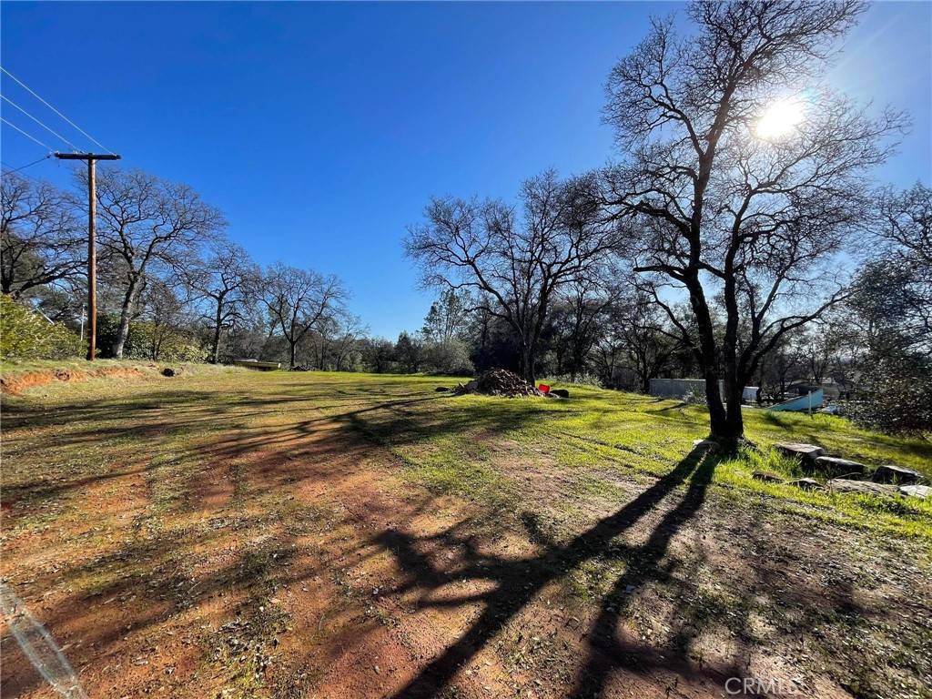 Oroville, CA 95966,0 Olive