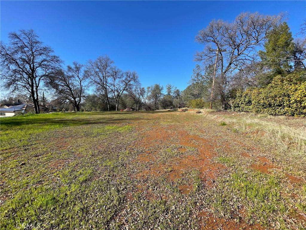 Oroville, CA 95966,0 Olive