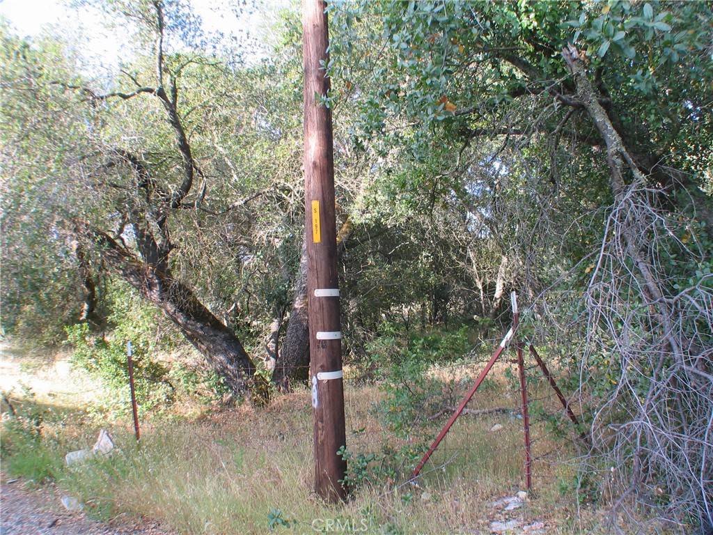 Oroville, CA 95966,0 Ophir RD