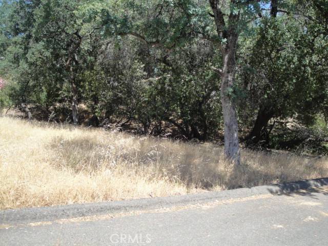 Oroville, CA 95966,586 Silver Leaf DR