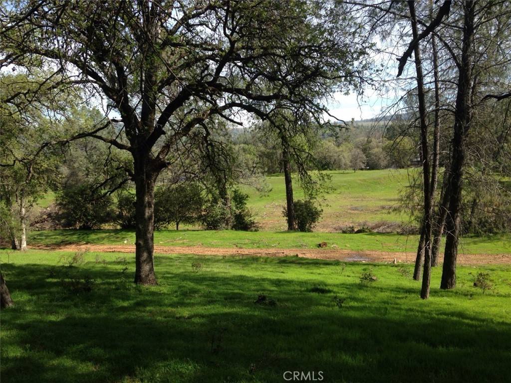 Oroville, CA 95966,0 Valley View DR