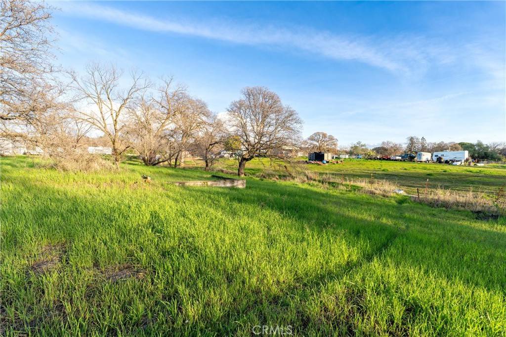 Oroville, CA 95966,4560 Olive